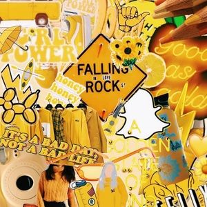 Meet your Posher, Cambrie